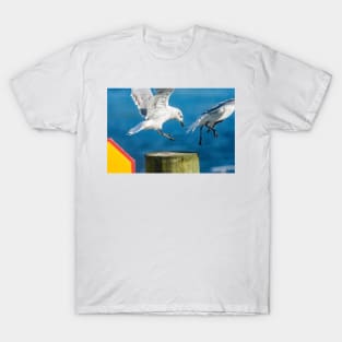 Fighting gull 2 T-Shirt